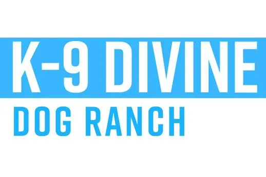 Home 23 K-9 Divine Dog Boarding