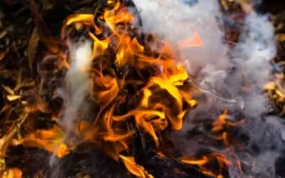 What You Need To Know About The Effects Of Trash Burning