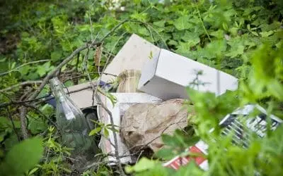 Illegal Dumping – Why It Needs To Be Avoided At All Costs