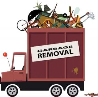 McJunk remove junk