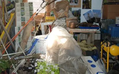 Why Basement Cleanouts Are Best Left to Junk Removal Pros