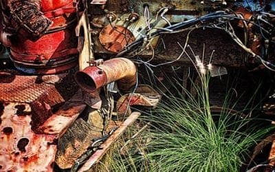 Yard Waste Removal Tips