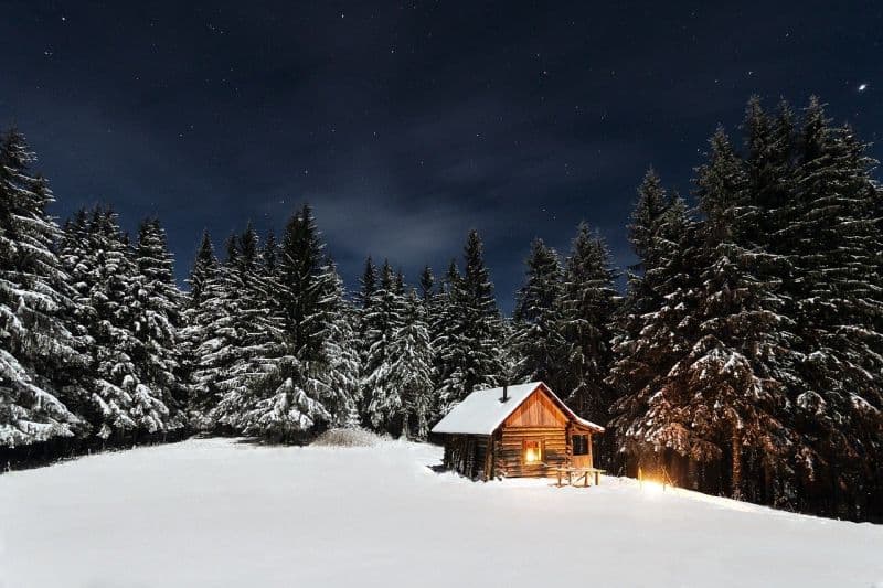 Keeping Unwanted Visitors Out Of Your Log Home