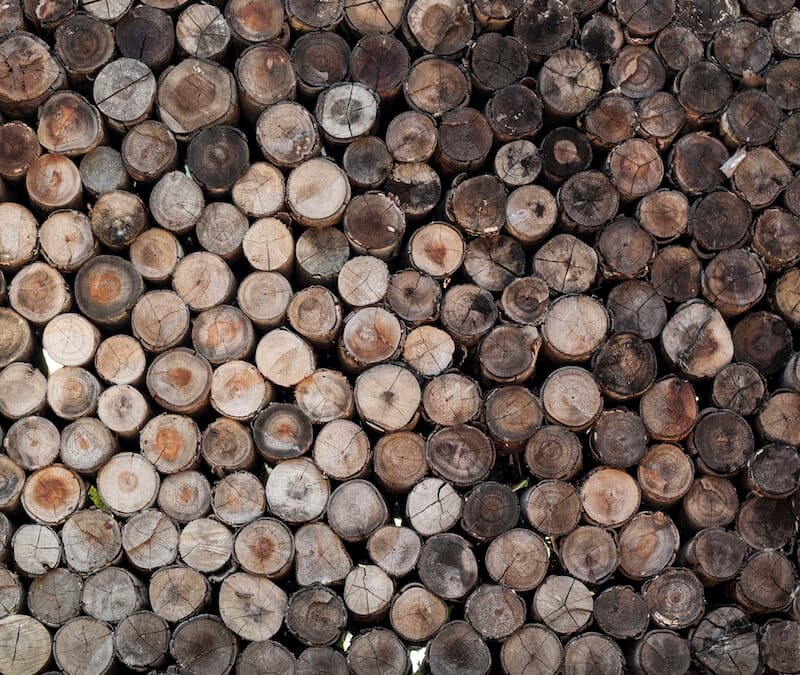 Let’s Talk Lumber