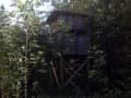 hidden-deerstand-gumlog-hunting