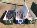 Fishing in the Ocmulgee