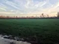Food Plots at Gum Log