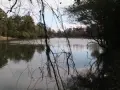 The river