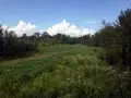 Managed Hunting Resources