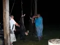cleaning-hogs
