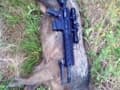 Succesful Hog Hunt