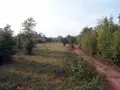 Gumlog Plantation Feed plots