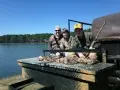 Family Quail Hunting
