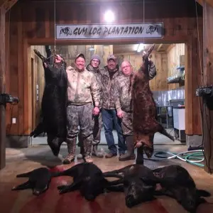 6-hogs