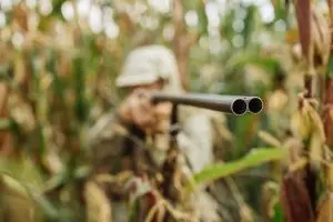 Gum Log Plantation hog hunting tips