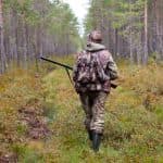 Gum Log Plantation hog hunting tips