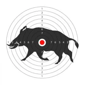 Gum Log Plantation hog hunting tips