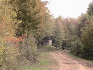 Step into the best hunting in Georgia! | Hunting and Outdoor Retreats in Abbeville, GA Step into the best hunting in Georgia!