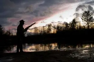 Gum Log Plantation hog hunting tips