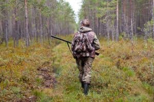 Gum Log Plantation hog hunting tips