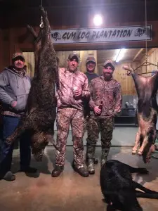 trophy-boar