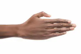 hand wrist