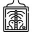 x-rays 64 bl
