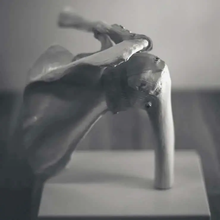 Shoulder joint