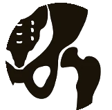 hip 1