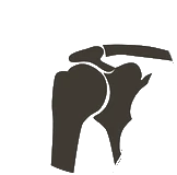 shoulder 2