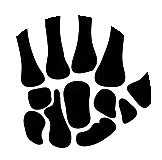 wrist 2