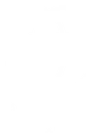 light logo