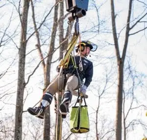 D&M Tree Service crew providing professional tree care in DuBois, PA