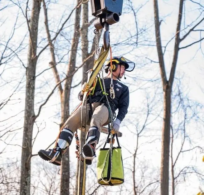 D&M Tree Service crew providing professional tree care in DuBois, PA
