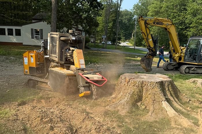 Stump Grinding in DuBois, PA - D&M Tree Service