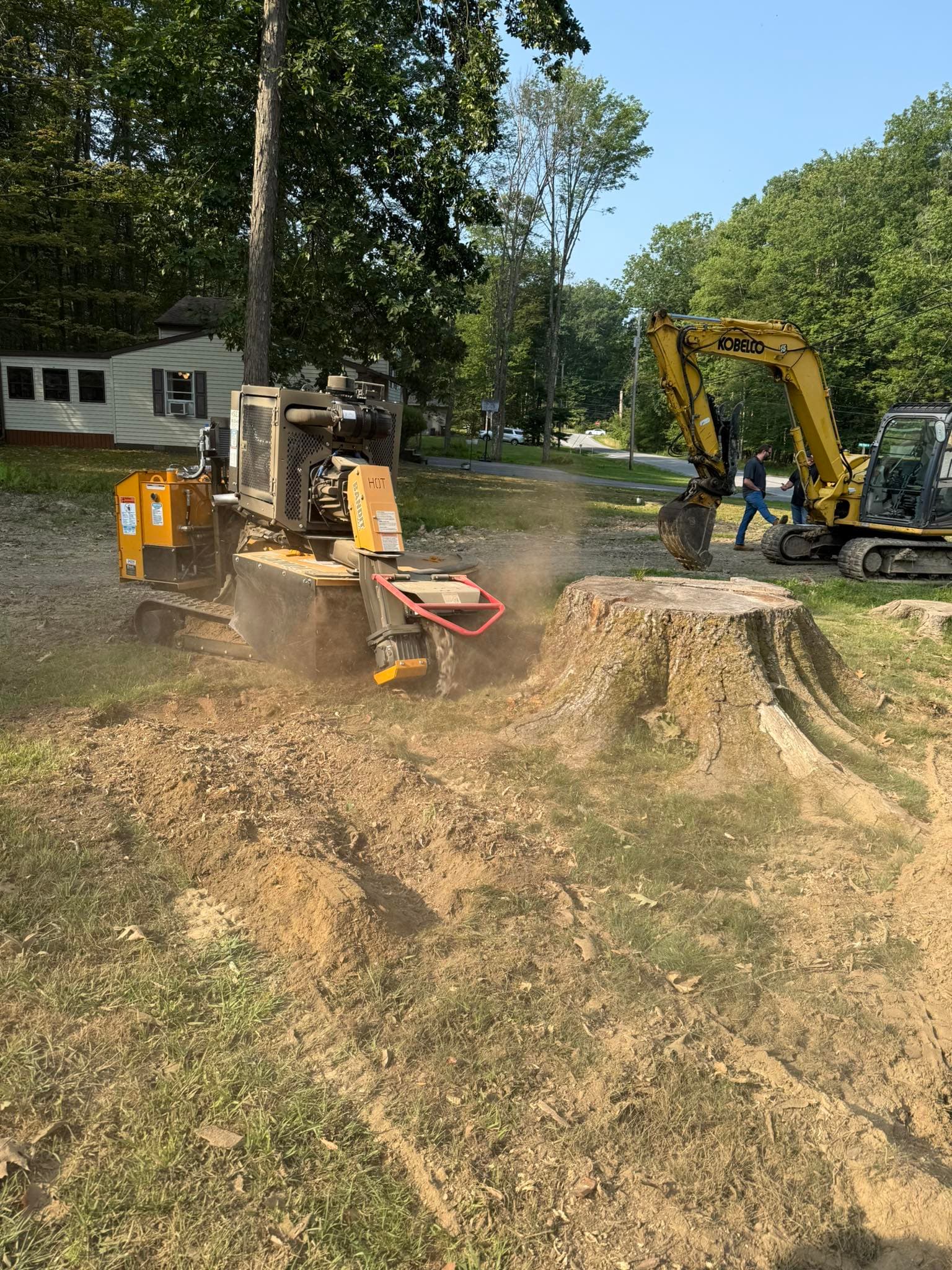 D&M Tree Service team performing tree care work