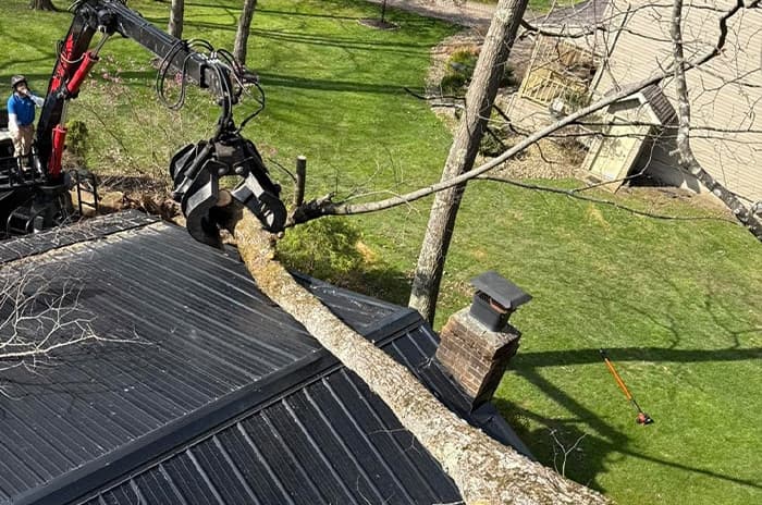 Emergency Tree Service in DuBois, PA - D&M Tree Service