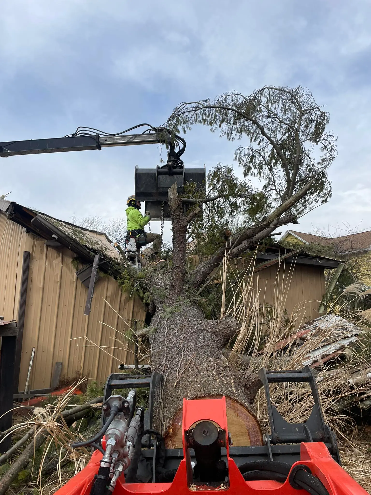 D&M Tree Service crew completing a tree care job