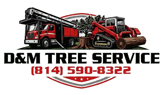 D&M Tree Service company logo