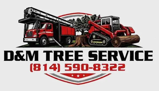 D&M Tree Service logo displayed on a white background