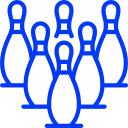 pins (1)