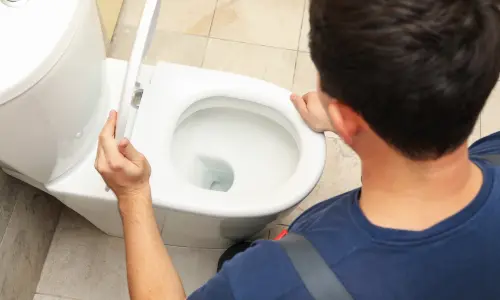 toilet 
