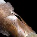 preventing frozen and burst pipes