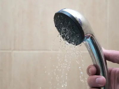 shower head