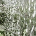 Flowing rainwater cascades through greenery, highlighting plumbing concerns for septic systems during spring rains.