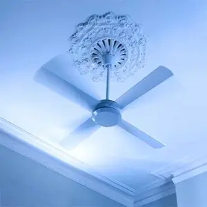 ceilingfan