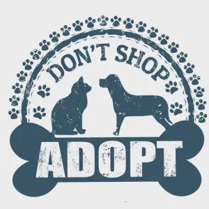 adopt a shelter dog month