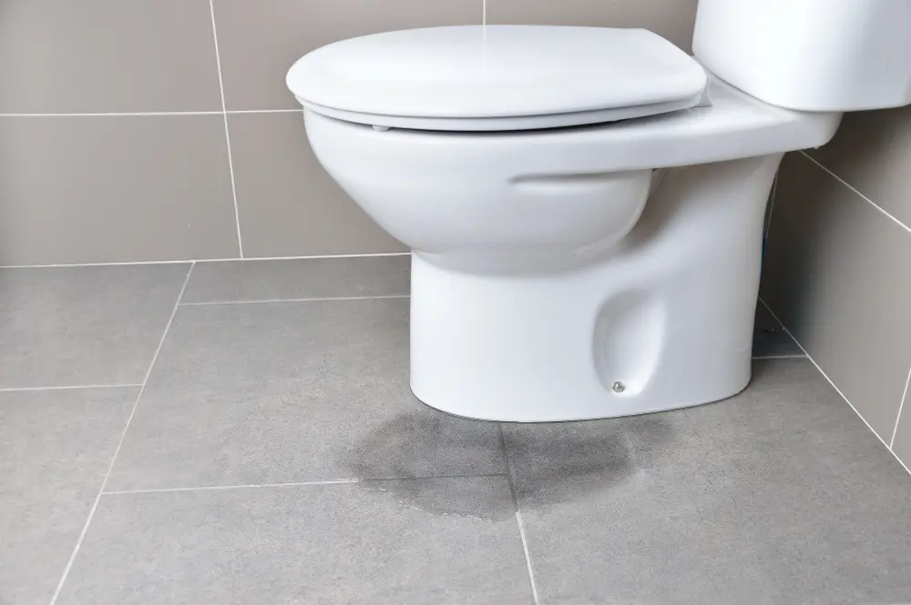 Toilet Problems We Fix