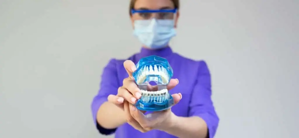 What Does a Dentist Do image
