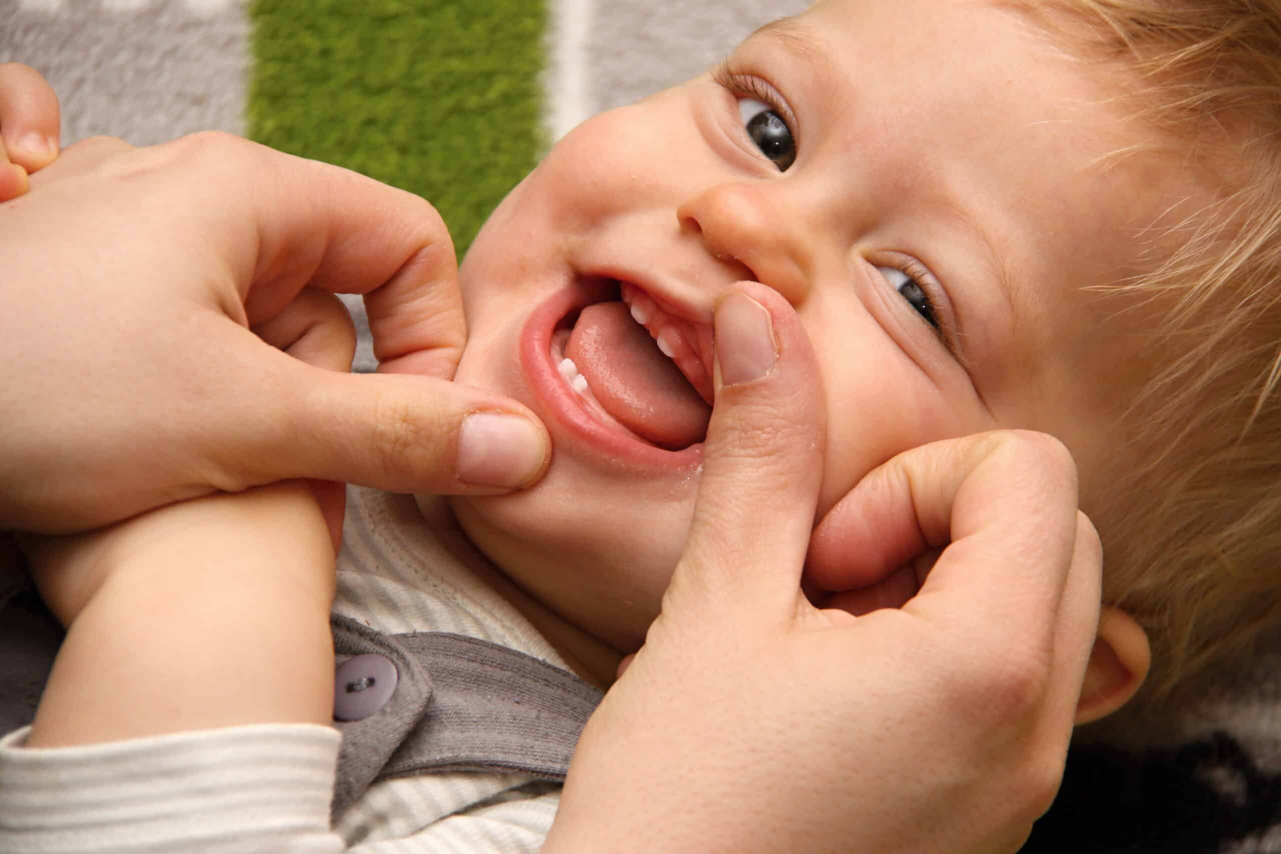 baby.teeth scaled